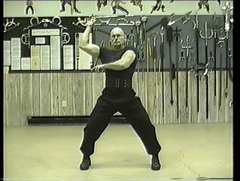 Shaolin 5 Animals Health & Power Program (Tiger, Leopard, Snake, Crane and Dragon)