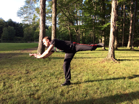 Gok Mi Gin Ch'uan from Shantung Shaolin (Shandong)