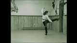 White Crane Fist: Hok Kuen (Hsiao Hao Ch'uan) from Southern 5-Animal Shaolin