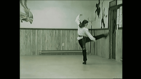 White Crane Fist: Hok Kuen (Hsiao Hao Ch'uan) from Southern 5-Animal Shaolin