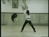 White Crane of Wu Mei (Pai Hao Fan Tui She) from RARE Southern Shaolin Li Hua Ch'uan of Wu Mei origination