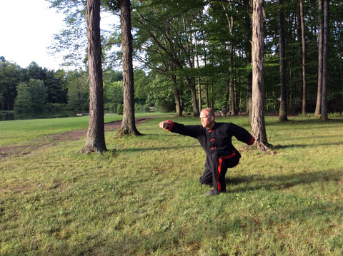 Monkey Style: Pei Hou Hsi Cheng Chien Pen from Northern Monkey