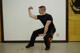 One South Fist (I Nan Kuen) from Choy Li Fut (Strength/Power Enhancement)