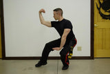 Premier Power/Strength Pack (Includes instruction by Sifu Allen!)