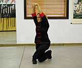 Tiger/Leopard/Snake/Crane/Dragon: Sea Mau Hok from Southern 5-Animal Shaolin