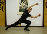 Shao Fu Yin Ch'uan from Shantung Shaolin (Shandong)