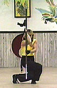 Weighted/Heavy Staff (Hu Dip Chung Kwan) from Butterfly Style