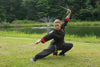 Iron Rulers Seek the Tiger (Shuang T'ieh Kuo Chu Chao Hu) rare Wanderer's System