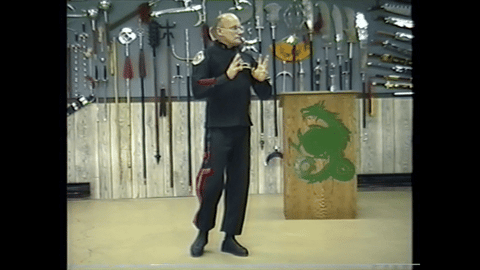 Tai Chi Ch'uan from Yang Family (Rare), Includes Informative Background by Sifu Allen