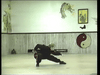 Trin Yi Ch'uan from Shantung Shaolin (Shandong)