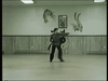 Wah Ch'uan from Shantung Shaolin (Shandong)