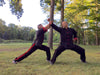 A Brass Hammer on an Iron Anvil (Tung Chui Tui Tieh Chan) from Northern 5-Animal Shaolin (2 man set )