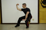 Premier Power/Strength Pack (Includes instruction by Sifu Allen!) DVDs ONLY (20% savings!)