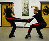 Youth Fist Two-Man Set (Ching Nein Ch'uan) from Northern 5-Animal Shaolin